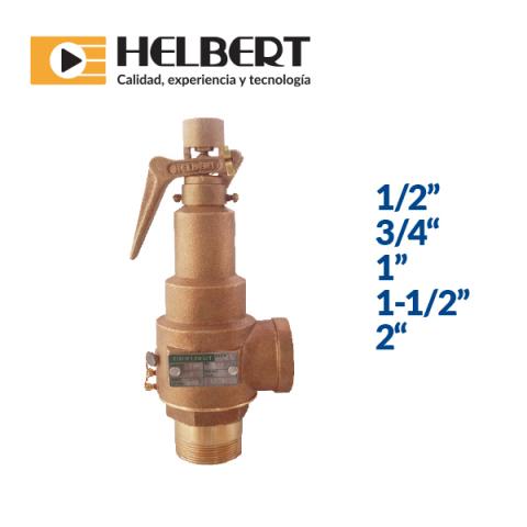 Security air valve Image