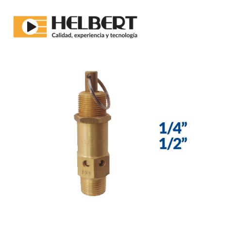 Air security valve Image