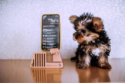 Acoustic Amplifier for Cell Phones AmpM02 Image