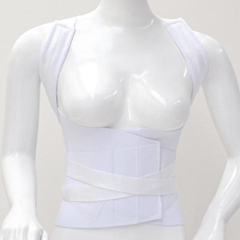 Dorso-Lumbar Brace Image