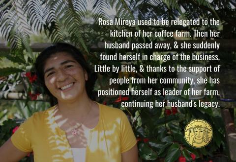 50 Amigas Coffee - Green Coffee Beans | Arabica, Direct Trade Women Farmers, Single Origin Image