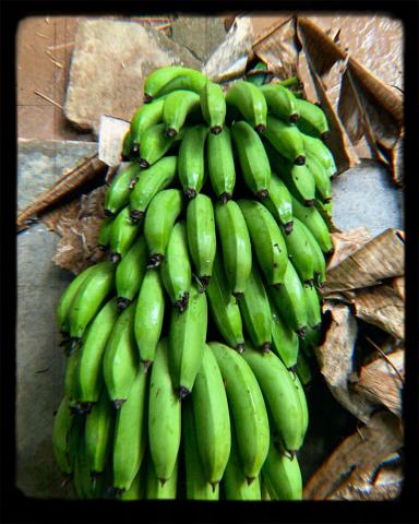 Dehydrated Banana - Banano Passo Image