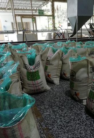 Conventional and Specialty Green Coffee Image