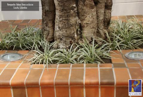 Breakwaters exclusive line Image