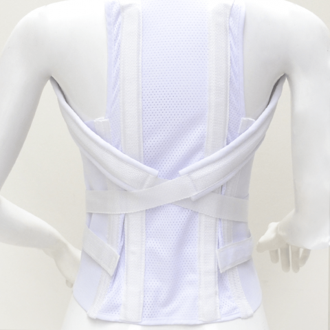 Dorso-Lumbar Brace Image