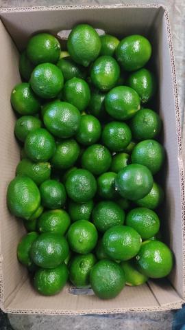 Tahiti Lime Image