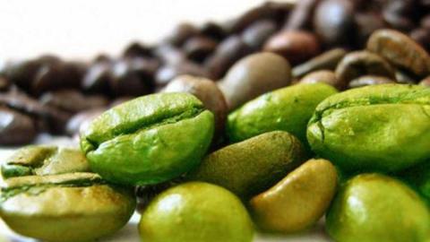 Green Coffee Beans Image