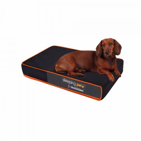 Bed for Dog Cozy Sweet Image