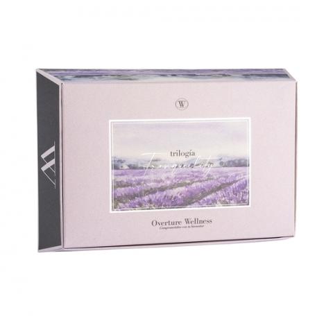 TRANQUILITY - Tranquility Trilogy Case Image