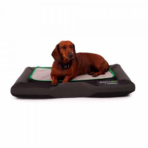 Bed for Dog Cozy Fun Image