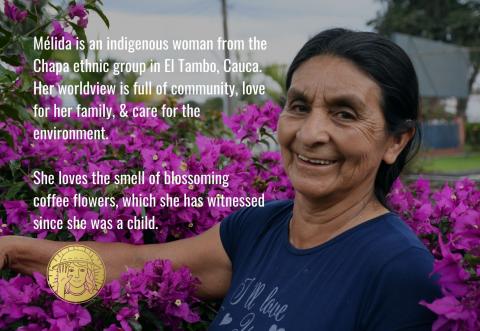 50 Amigas Coffee - Green Coffee Beans | Arabica, Direct Trade Women Farmers, Single Origin Image