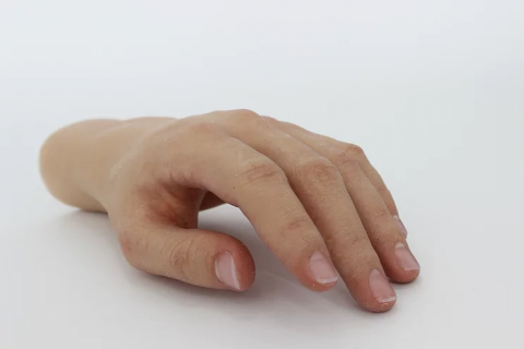 Prosthetic hands Image