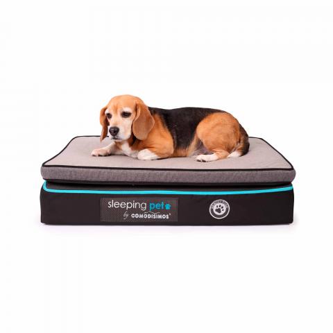 Bed for dog Cozy Coils Image
