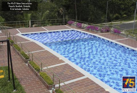 Clay floor tile 40x20 exclusive line Image