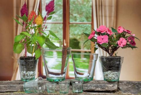 Floral Line Image
