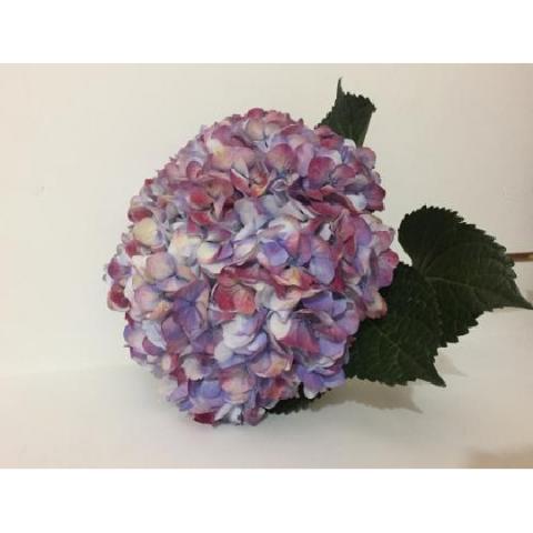 HYDRANGEA JUMBO ANTIQUE LAVANDER