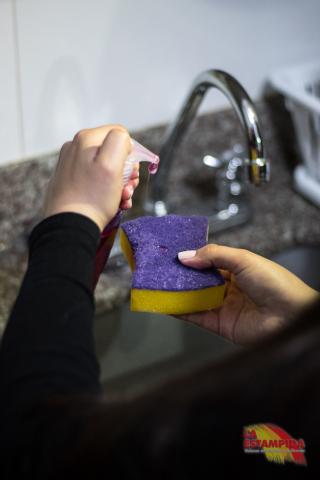 DOUBLE USE SCRUBBER SPONGES