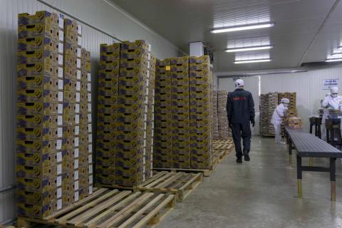 Fresh Passion fruit Image