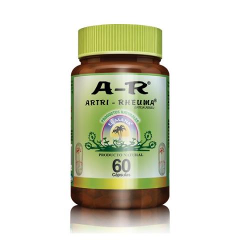ARTRI RHEUMA JAR X 60 CAPSULES Image