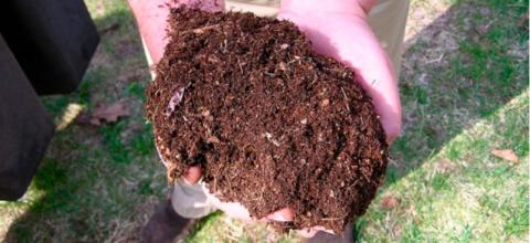 ORGANIC FERTILIZER Image