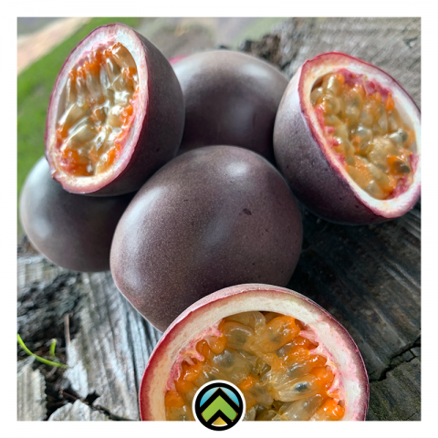 Passion Fruit Image