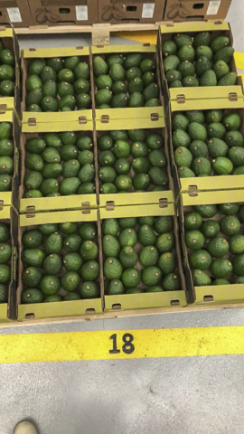 HASS AVOCADO Image