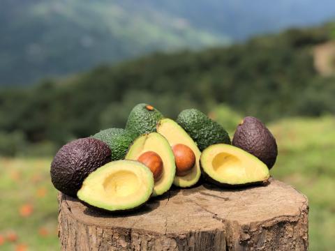 aguacates-dos.jpg