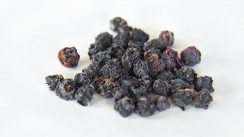 Dried Blueberry Image