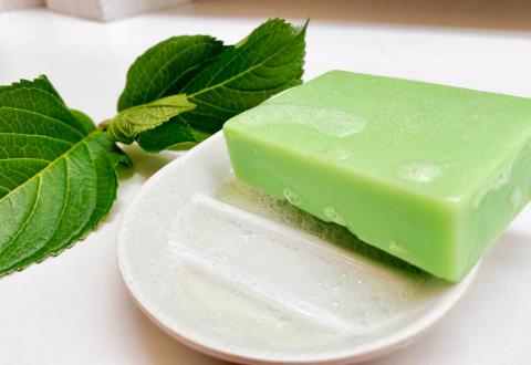 NATURAL SOAP WITH CDB, ROSEHIP AND TEA TREE Image