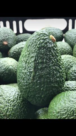 Hass avocado Image