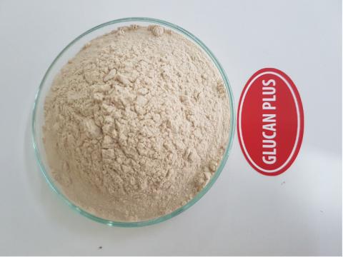 BETA GLUCAN PLUS Image