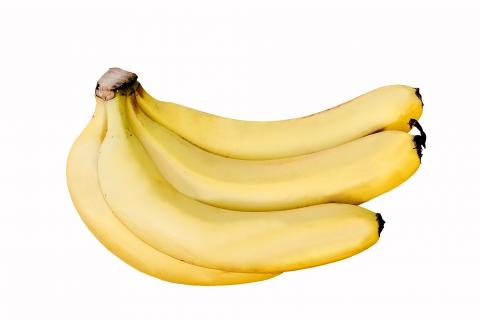 Cavendish Banana Image