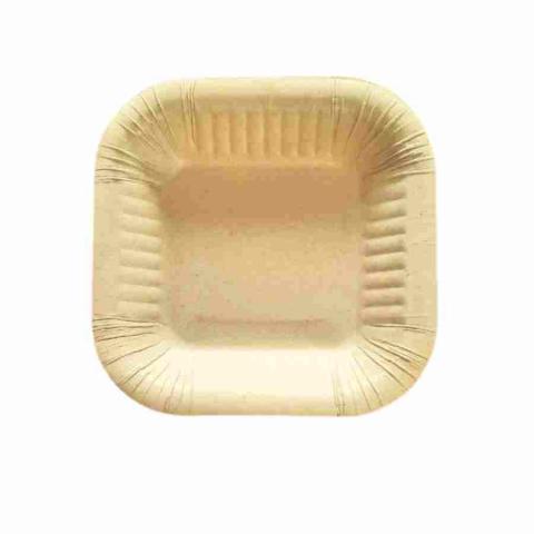 Sugarcane bagasse trays Image