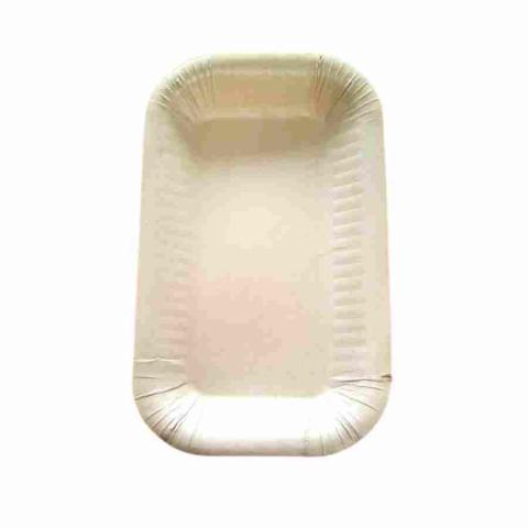 Sugarcane bagasse trays Image