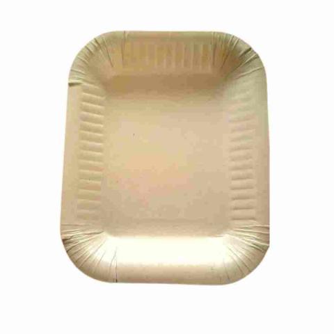 Sugarcane bagasse trays Image
