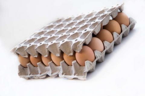 30 Eggs Tray Image