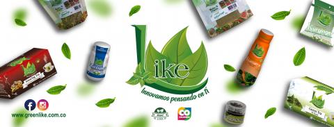 spices and herbs Image