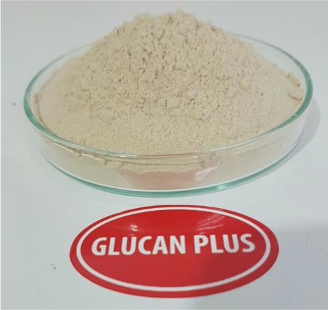 BETA GLUCAN PLUS Image