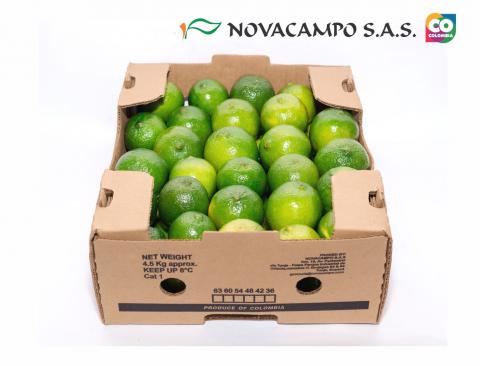 Lime Image
