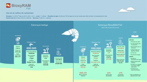 India  Colombian B2B Marketplace