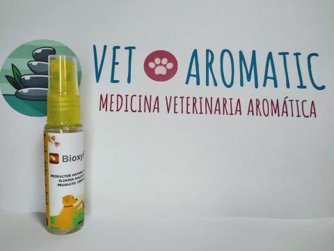 BIOXYRAMPET Image