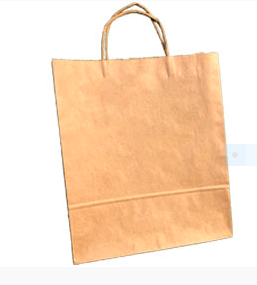 Twisted handle brown paper bags Image