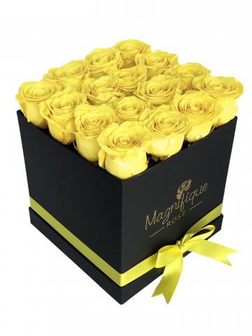 BOX BY 16 PRESERVED ROSE HEADS Image