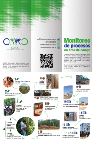 Teak wood blocks Image