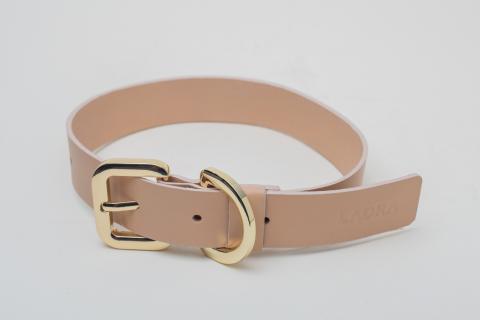 COLLARS Image