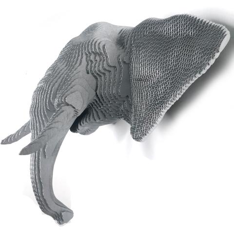 ELEPHANTS HEAD Image
