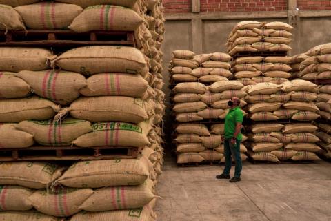 GREEN COFFEE (SACK 70 kg) Image