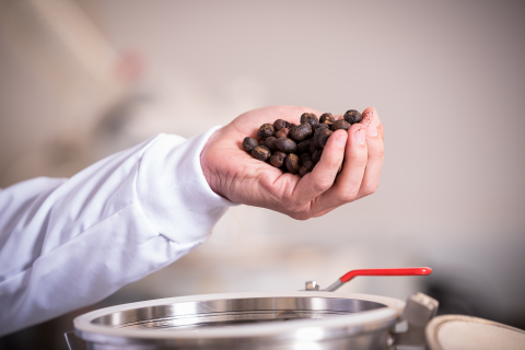 ROASTED COFFEE Image