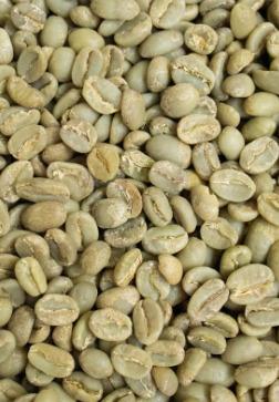Green Coffee Image