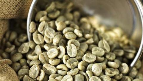 Special green coffee Image